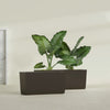 Panama Large Long Rectangle Fiberglass Planter - 36 in x 12 in x 18 in - Matte Brown - Matte Brown,36 in x 12 in x 18 in
