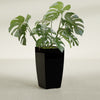 Toulan Large Tall Tapered Square Fiberglass Planter - 16 in x 16 in x 30 in - Gloss Black - Gloss Black,16 in x 16 in x 30 in