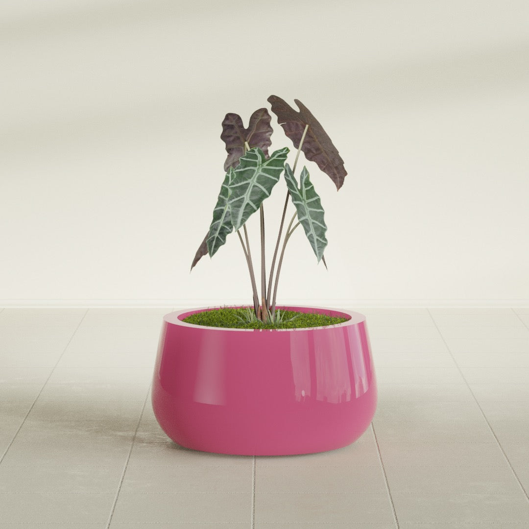 Short Hayden Small Round Fiberglass Planter - 16 in x 16 in x 8 in - Gloss Pink Violet - Gloss Pink Violet,16 in x 16 in x 8 in