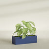 Reade Small Tabletop Rectangle Fiberglass Planter - 14 in x 5 in x 4.3 in - Matte Cobalt Blue - Matte Cobalt Blue,14 in x 5 in x 4.3 in