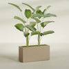Tolga Extra Large Long Rectangle Fiberglass Planter - 48 in x 16 in x 24 in - Metallic Gold - Metallic Gold,48 in x 16 in x 24 in