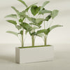 Tolga Extra Large Long Rectangle Fiberglass Planter - 60 in x 16 in x 24 in - Satin Beige - Satin Beige,60 in x 16 in x 24 in