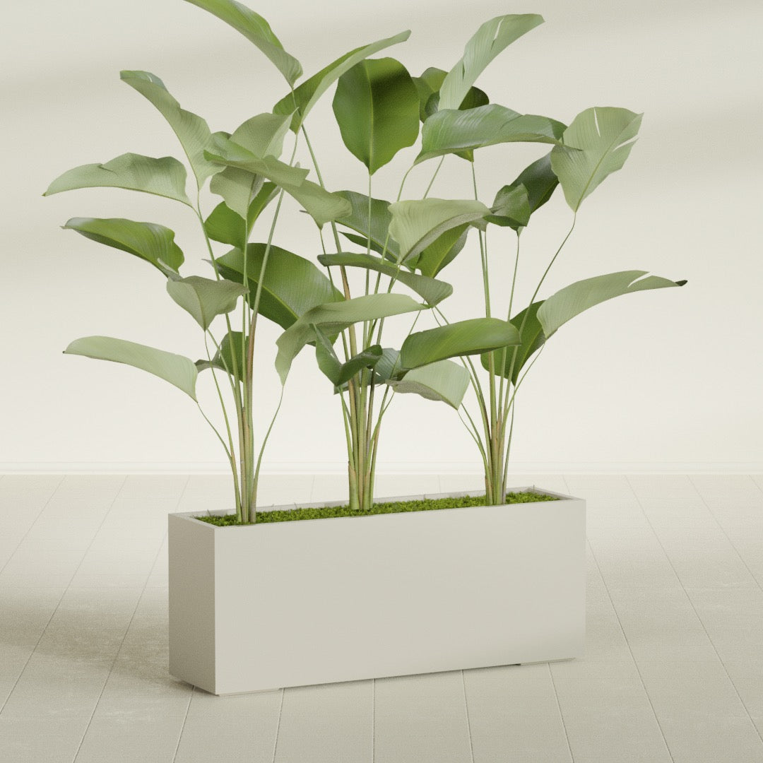 Tolga Extra Large Long Rectangle Fiberglass Planter - 60 in x 16 in x 24 in - Satin Beige - Satin Beige,60 in x 16 in x 24 in
