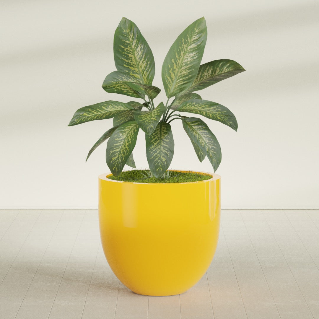 Alzira Large Round Fiberglass Planter - 36 in x 36 in x 34 in - Gloss Saffron - Gloss Saffron,36 in x 36 in x 34 in
