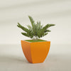 Lima Medium Tapered Square Fiberglass Planter - 24 in x 24 in x 24 in - Gloss Tangerine - Gloss Tangerine,24 in x 24 in x 24 in