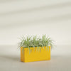 Hollywood Large Narrow Rectangle Fiberglass Planter - 36 in x 12 in x 24 in - Gloss Saffron - Gloss Saffron,36 in x 12 in x 24 in