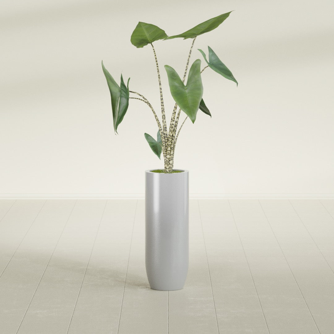 Saint Tropez Large Tall Round Fiberglass Planter - 12 in x 12 in x 32 in - Metallic Silver - Metallic Silver,12 in x 12 in x 32 in