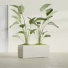 Badalona Large Tall Rectangle Fiberglass Planter - 39 in x 17 in x 17 in - Satin Beige - Satin Beige,39 in x 17 in x 17 in