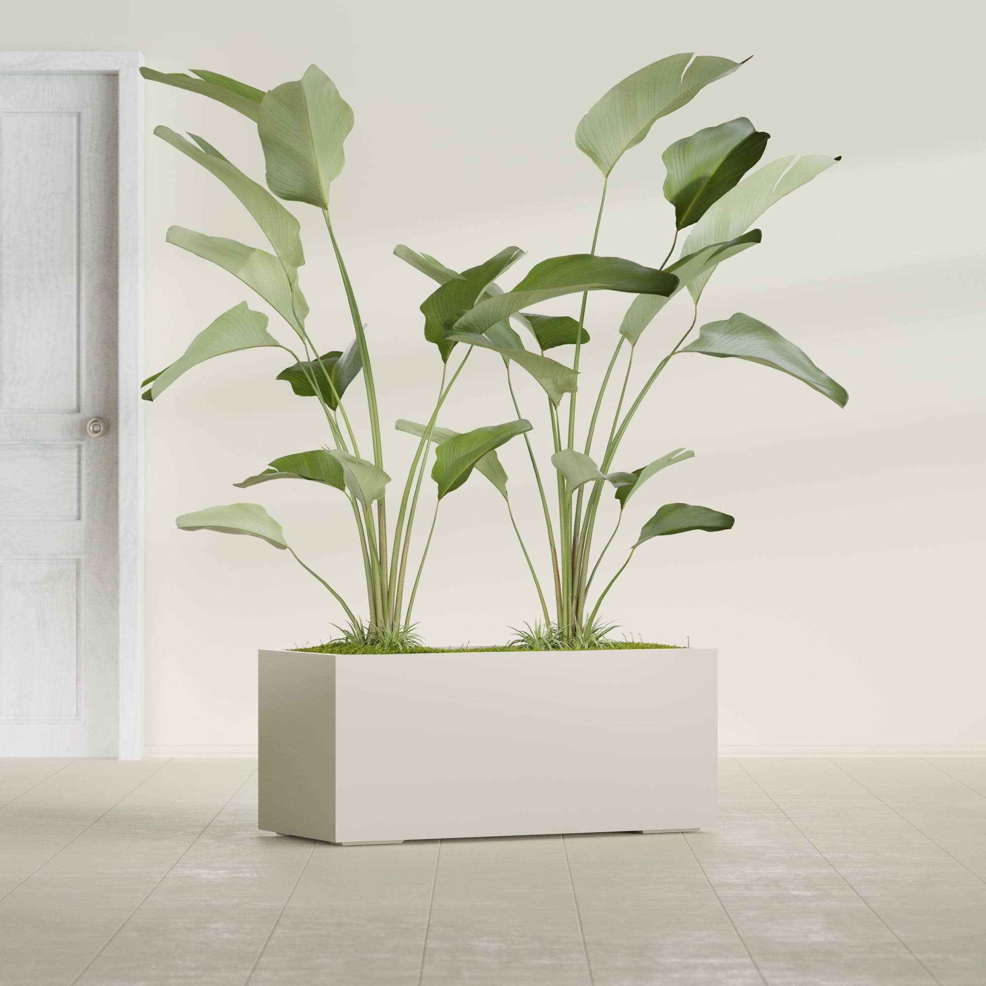 Badalona Large Tall Rectangle Fiberglass Planter - 39 in x 17 in x 17 in - Satin Beige - Satin Beige,39 in x 17 in x 17 in