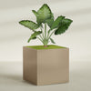Montroy Extra Large Cube Square Fiberglass Planter - 60 in x 60 in x 60 in - Metallic Gold - Metallic Gold,60 in x 60 in x 60 in