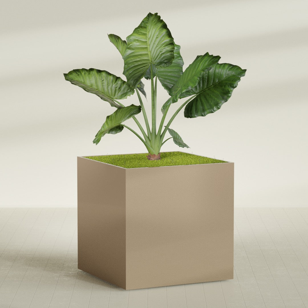 Montroy Extra Large Cube Square Fiberglass Planter - 60 in x 60 in x 60 in - Metallic Gold - Metallic Gold,60 in x 60 in x 60 in