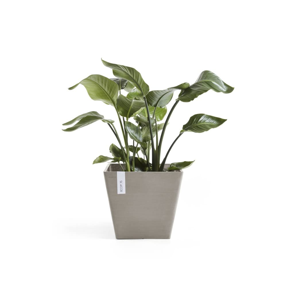 Rotterdam Small Square Planter - 19.75 in x 19.75 in x 17.25 in - Taupe - Taupe,19.75 in x 19.75 in x 17.25 in,Planter Only