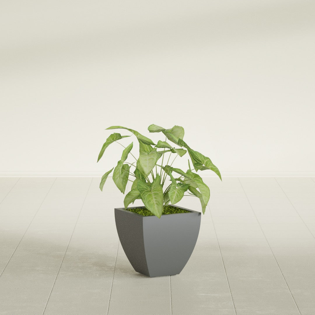 Lima Small Tapered Square Fiberglass Planter - 12 in x 12 in x 12 in - Metallic Gunmetal - Metallic Gunmetal,12 in x 12 in x 12 in