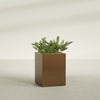 Brisbane Large Rectangle Fiberglass Planter - 24 in x 24 in x 32 in - Metallic Bronze - Metallic Bronze,24 in x 24 in x 32 in