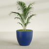 Wannsee Large Round Fiberglass Planter - 39 in x 39 in x 34 in - Matte Cobalt Blue - Matte Cobalt Blue,39 in x 39 in x 34 in