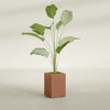 Tolga Medium Rectangle Fiberglass Planter - 16 in x 16 in x 24 in - Matte Terracotta - Matte Terracotta,16 in x 16 in x 24 in