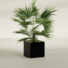 Montroy Medium Cube Square Fiberglass Planter - 24 in x 24 in x 24 in - Gloss Black - Gloss Black,24 in x 24 in x 24 in