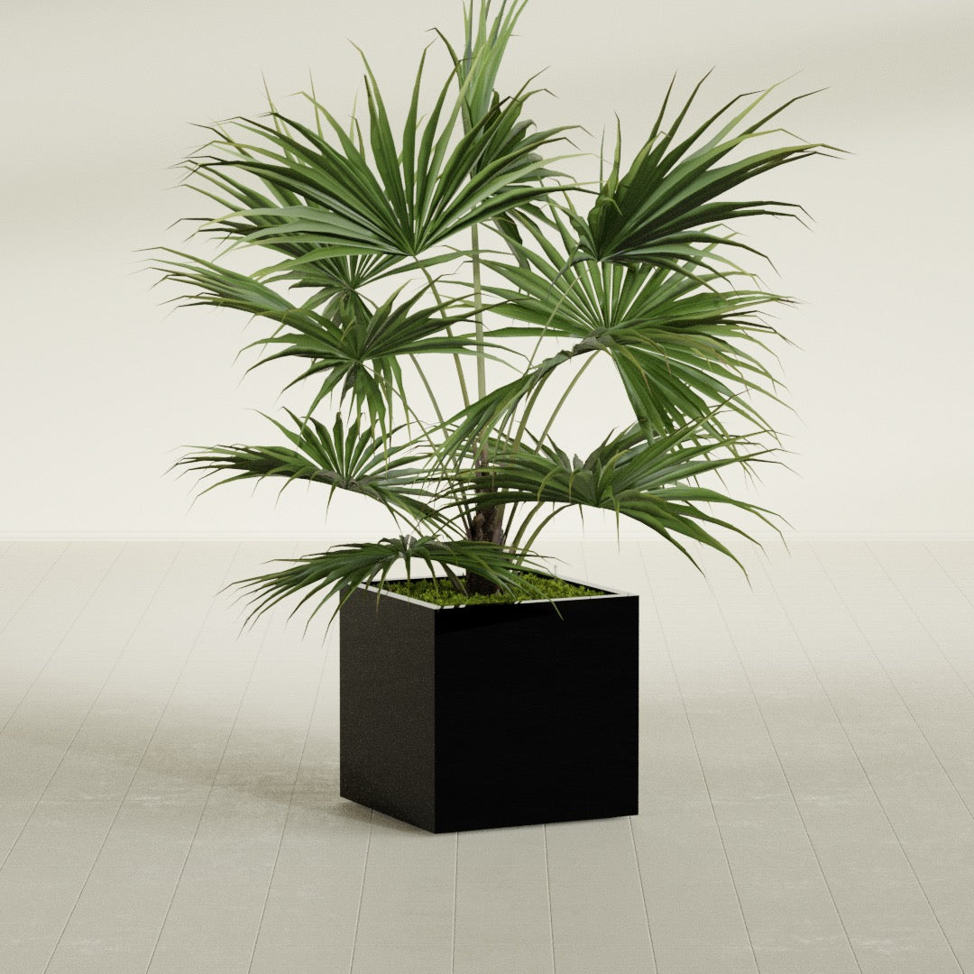 Montroy Medium Cube Square Fiberglass Planter - 24 in x 24 in x 24 in - Gloss Black - Gloss Black,24 in x 24 in x 24 in