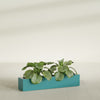Salon Large Tall Rectangle Fiberglass Planter - 42 in x 8 in x 8 in - Satin Sea Foam - Satin Sea Foam,42 in x 8 in x 8 in