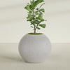Globe - 36in diam. x 31in - StoneLight - Greystone - StoneLight - Greystone,36 in x 36 in x 30 in