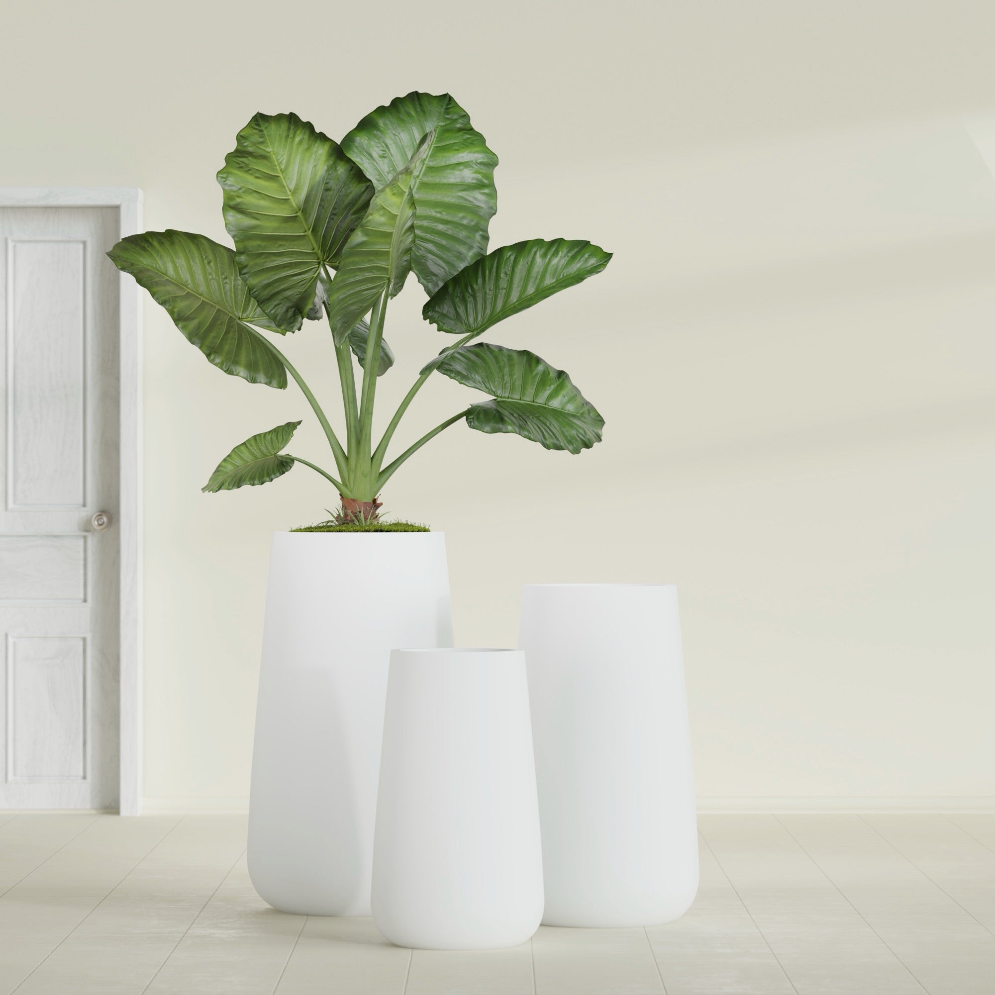 Saigon Extra Large Tapered Round Planter - 19 in x 24 in x 42 in - Matte White - Matte White,19.2 in x 24.2 in x 42 in
