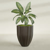Alicante Medium Round Fiberglass Planter - 26 in x 26 in x 32 in - Matte Brown - Matte Brown,26 in x 26 in x 32 in