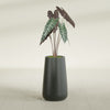 Saigon Large Tapered Round Planter - 14 in x 14 in x 30 in - Matte Charcoal - Matte Charcoal,13.7 in x 13.7 in 30 in