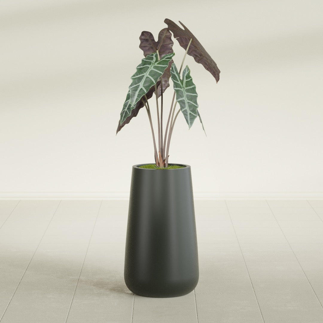 Saigon Large Tapered Round Planter - 14 in x 14 in x 30 in - Matte Charcoal - Matte Charcoal,13.7 in x 13.7 in 30 in