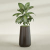 Saigon Extra Large Tapered Round Planter - 19 in x 24 in x 42 in - Matte Brown - Matte Brown,19.2 in x 24.2 in x 42 in