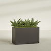 Brisbane Extra Large Long Rectangle Fiberglass Planter - 48 in x 24 in x 32 in - Matte Brown - Matte Brown,48 in x 24 in x 32 in