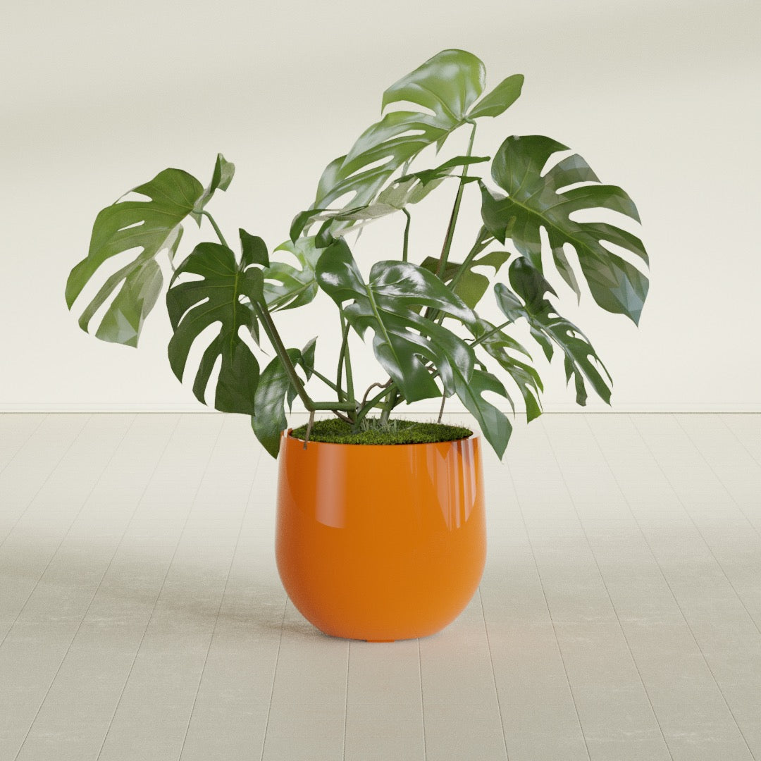 Westfield - 19in diam. x 18in - Gloss Tangerine - Gloss Tangerine,19 in diam. x 18 in H