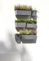 Manhattan Small Rectangle Wall Planter - 13.75 in x 6.75 in x 6 in - Grey - Grey,13.75 in x 6.75 in x 6 in
