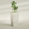 Toulan Extra Large Tall Tapered Square Fiberglass Planter - 28 in x 28 in x 60 in - Satin Beige - Satin Beige,28 in x 28 in x 60 in