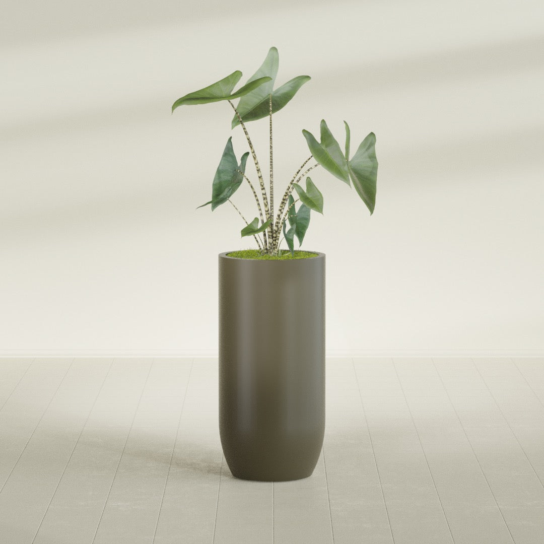 Saint Tropez Extra Large Tall Round Fiberglass Planter - 24 in x 24 in x 50 in - Matte Bronze - Matte Bronze,24 in x 24 in x 50 in