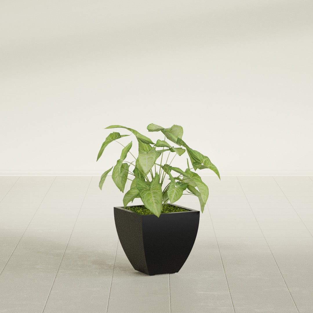 Lima Small Tapered Square Fiberglass Planter - 12 in x 12 in x 12 in - Matte Black - Matte Black,12 in x 12 in x 12 in