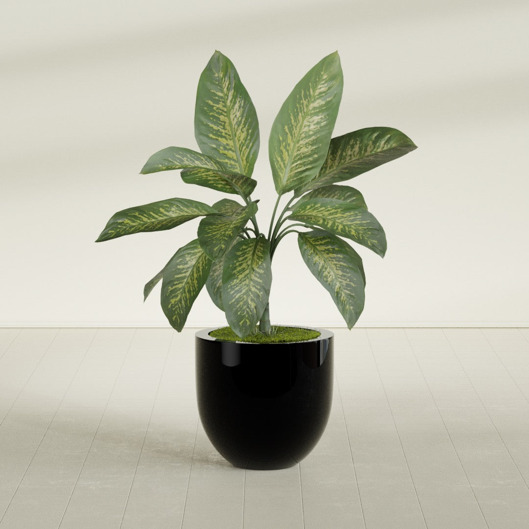 Alzira Medium Round Fiberglass Planter - 23 in x 23 in x 22 in - Gloss Black - Gloss Black,23 in x 23 in x 22 in