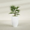 Brannan Large Round Fiberglass Planter - 24 in x 24 in x 35 in - Matte White - Matte White,24 in x 24 in x 35 in