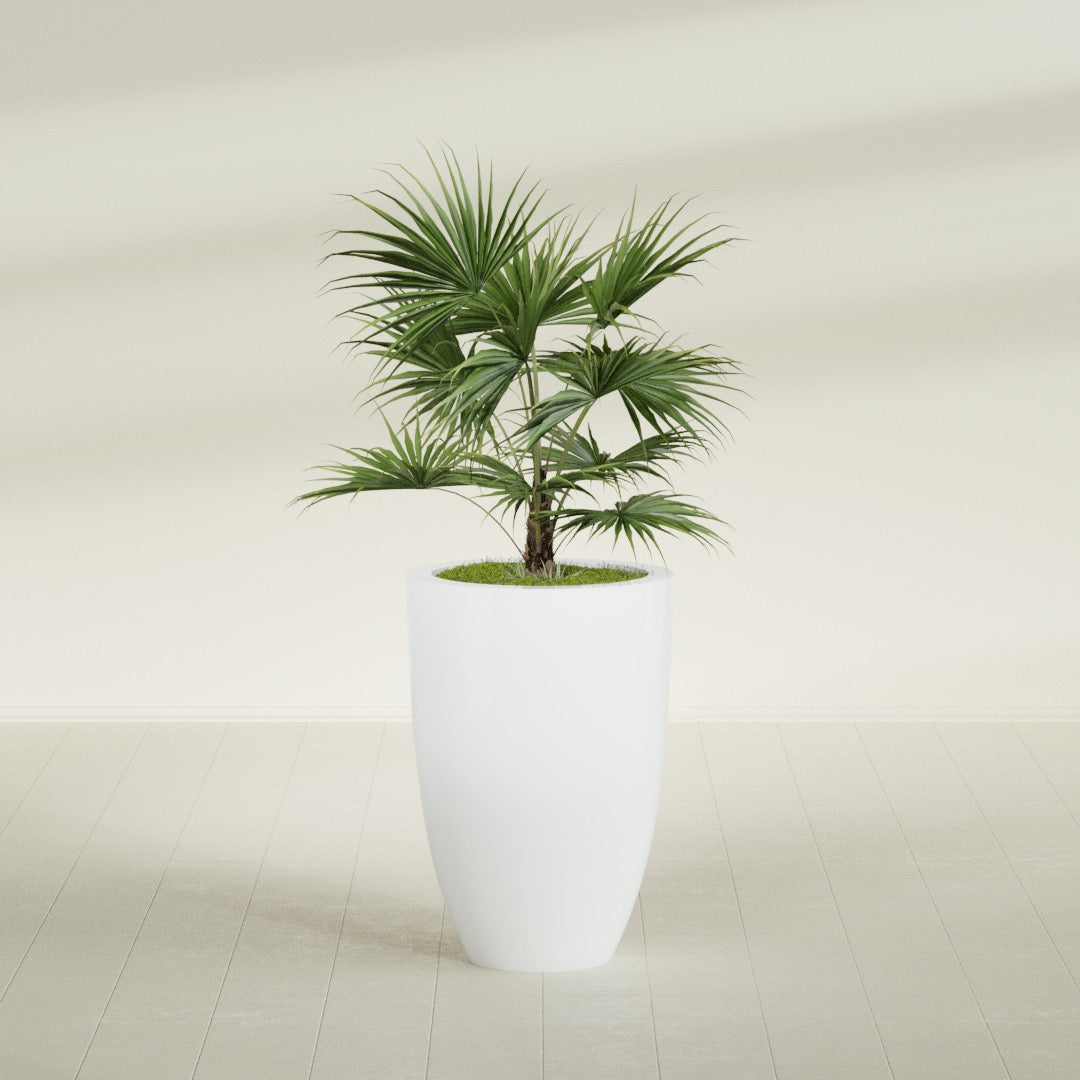 Brannan Large Round Fiberglass Planter - 24 in x 24 in x 35 in - Matte White - Matte White,24 in x 24 in x 35 in