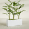 Tolga Extra Large Long Rectangle Fiberglass Planter - 60 in x 16 in x 24 in - Gloss White - Gloss White,60 in x 16 in x 24 in