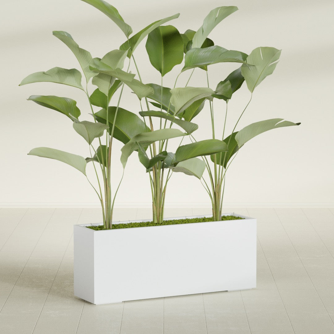 Tolga Extra Large Long Rectangle Fiberglass Planter - 60 in x 16 in x 24 in - Gloss White - Gloss White,60 in x 16 in x 24 in