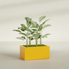 Torino Large Wide Rectangle Fiberglass Planter - 36 in x 24 in x 18 in - Gloss Saffron - Gloss Saffron,36 in x 24 in x 18 in