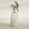 Saigon Large Tapered Round Planter - 16 in x 21 in x 36 in - Satin Beige - Satin Beige,16.4 in x 20.7 in x 36 in