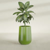 Tall Hayden Medium Round Fiberglass Planter - 15 in x 15 in x 23 in - Satin Green - Satin Green,15 in x 15 in x 23 in
