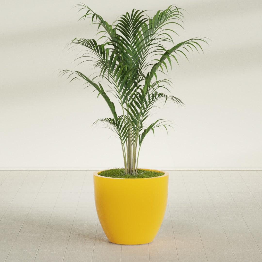 Wannsee Large Round Fiberglass Planter - 33 in x 33 in x 29 in - Gloss Saffron - Gloss Saffron,33 in x 33 in x 29 in