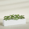 Miami Extra Large Narrow Rectangle Fiberglass Planter - 72 in x 12 in x 18 in - Gloss White - Gloss White,72 in x 12 in x 18 in