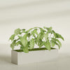 Reade Small Tabletop Rectangle Fiberglass Planter - 18 in x 6.5 in x 5 in - Satin Beige - Satin Beige,18.5 in x 6.5 in x 5 in