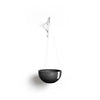 Hanging Brussels Small Bowl Planter - 13 in x 13 in x 6.5 in - Dark Grey - Dark Grey,13 in x 13 in x 6.5 in