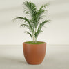 Wannsee Large Round Fiberglass Planter - 39 in x 39 in x 34 in - Matte Terracotta - Matte Terracotta,39 in x 39 in x 34 in