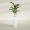 San Jose Large Tall Round Fluted Fiberglass Planter - 16 in x 16 in x 30 in - Matte White - Matte White,16 in x 16 in x 30 in