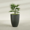 Brannan Large Round Fiberglass Planter - 30 in x 30 in x 41 in - Matte Charcoal - Matte Charcoal,30 in x 30 in x 41 in